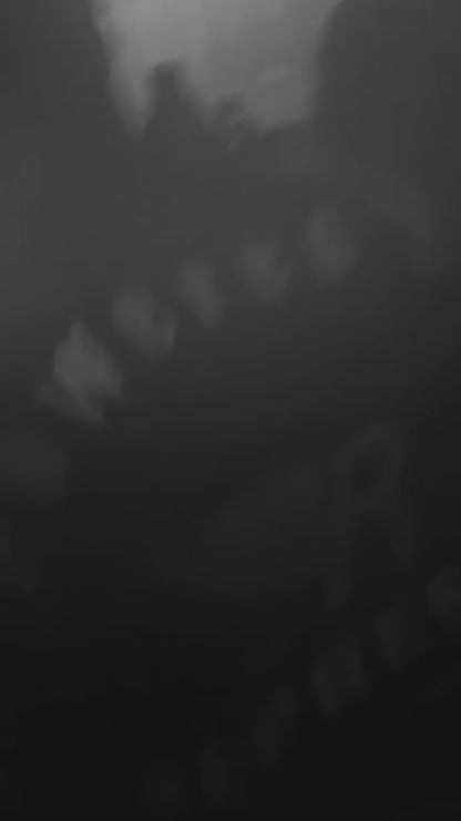 Peter Terry's Birthday Bash - Ticket