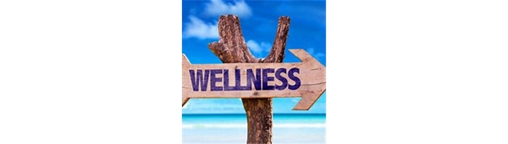 Fashion and Wellness